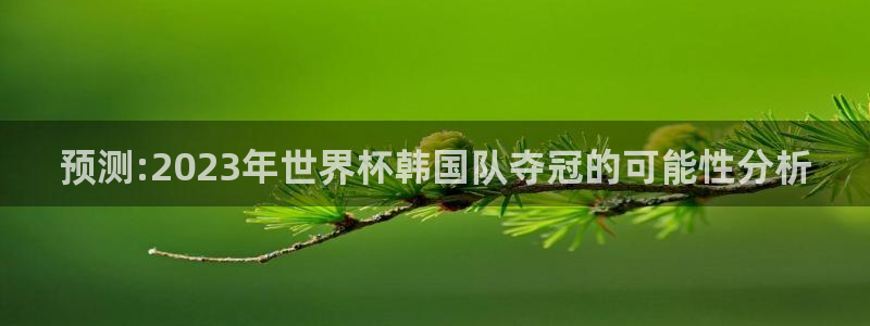 世界杯足球：预测:2023年世界杯韩国队夺冠的可能性分析