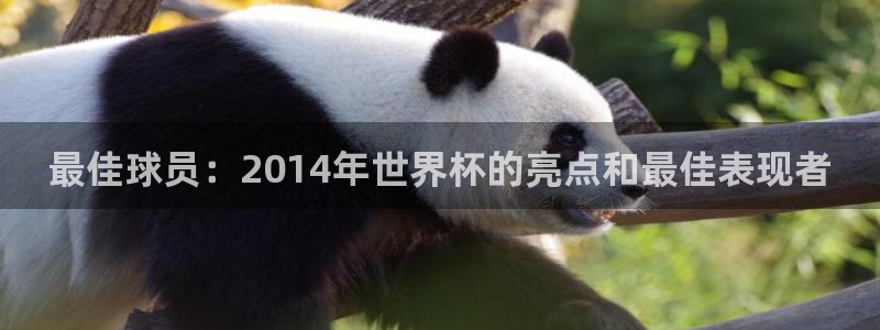 世界杯葡萄牙赛程：最佳球员：2014年世界杯的亮点和最佳表现者