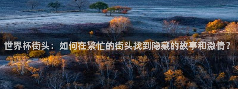 世界杯直播时间：世界杯街头：如何在繁忙的街头找到隐藏的故事和激情？
