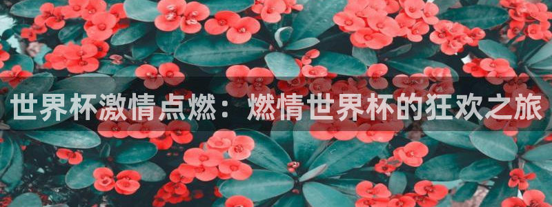 世界杯葡萄牙赛程：世界杯激情点燃：燃情世界杯的狂欢之旅