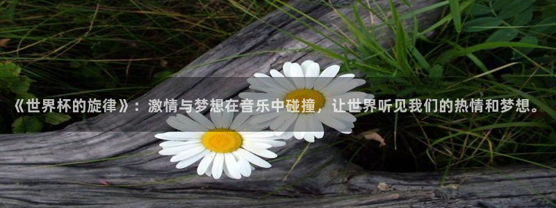 世界杯亚洲区预选赛赛程表：《世界杯的旋律》：激情与梦想在音乐中碰撞，让世界听见我们的热情和梦想。
