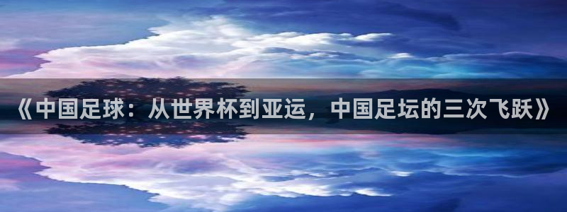 世界杯对阵表：《中国足球：从世界杯到亚运，中国足坛的三次飞跃》
