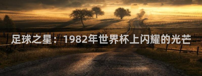 看世界杯：足球之星：1982年世界杯上闪耀的光芒