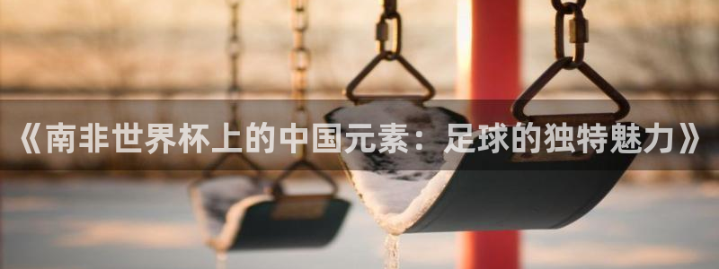 世界杯预选赛直播：《南非世界杯上的中国元素：足球的独特魅力》