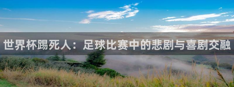 2026年世界杯：世界杯踢死人：足球比赛中的悲剧与喜剧交融