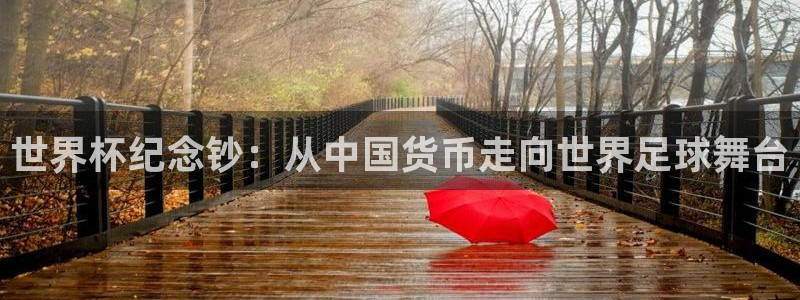 世界杯欧洲区预选赛赛程：世界杯纪念钞：从中国货币走向世界足球舞台