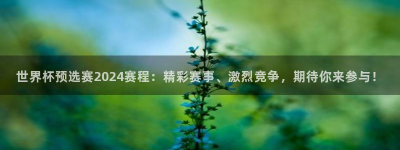 世界杯 赛程：世界杯预选赛2024赛程：精彩赛事、激烈竞争，期待你来参与！
