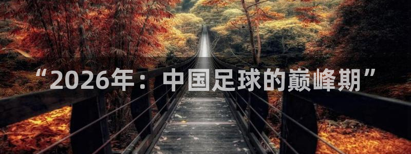 世界杯直播：“2026年：中国足球的巅峰期”