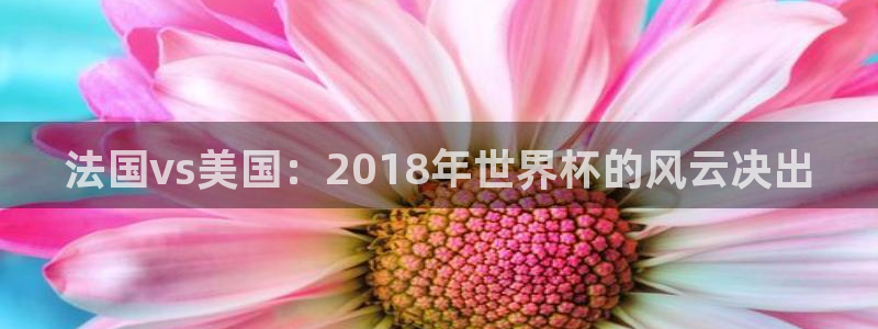 2026世界杯32强对阵图表：法国vs美国：2018年世界杯的风云决出