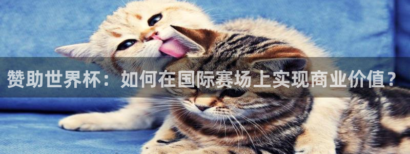 西超杯直播：赞助世界杯：如何在国际赛场上实现商业价值？