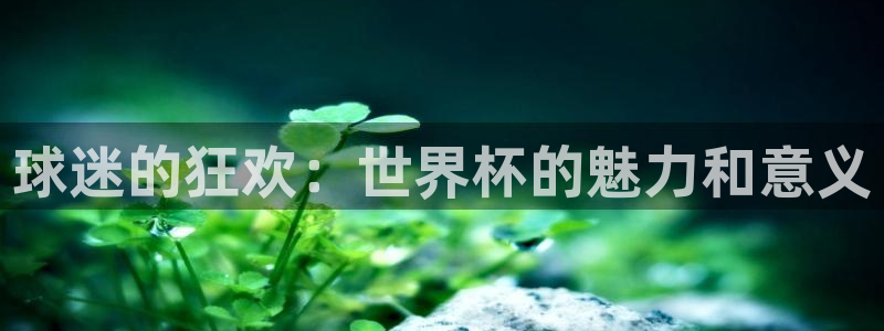 欧洲世预赛赛程表：球迷的狂欢：世界杯的魅力和意义