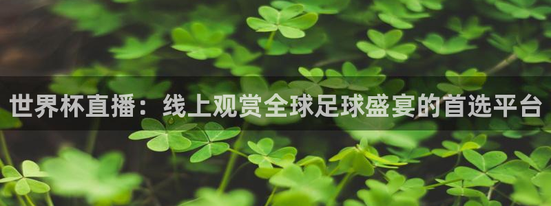 26世界杯：世界杯直播：线上观赏全球足球盛宴的首选平台